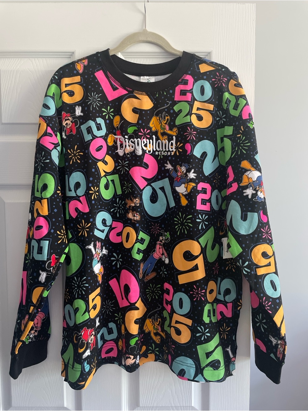 Disneyland Resort 2025 Spirit Jersey - Large
